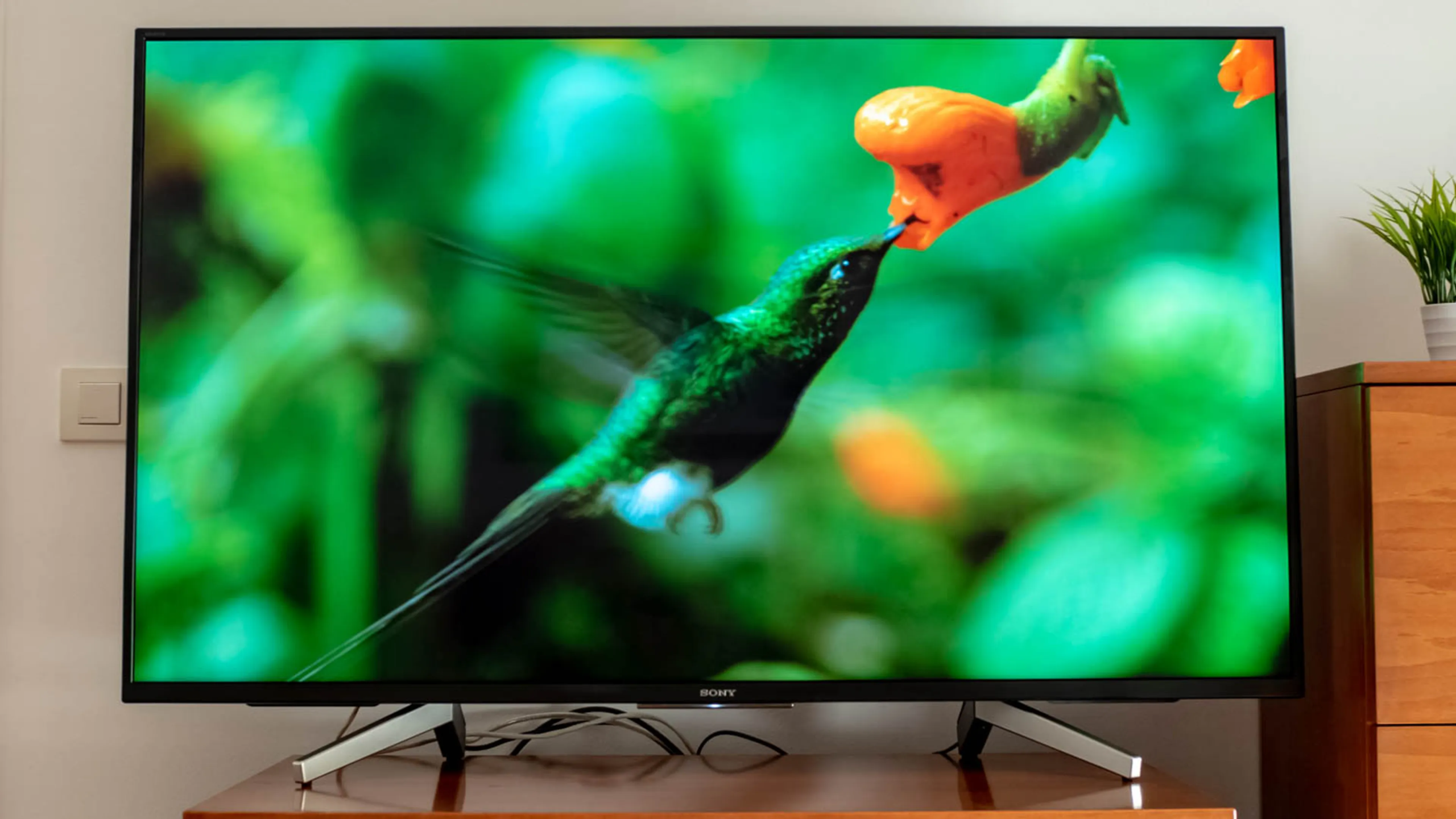 Reparación SONY en Cali